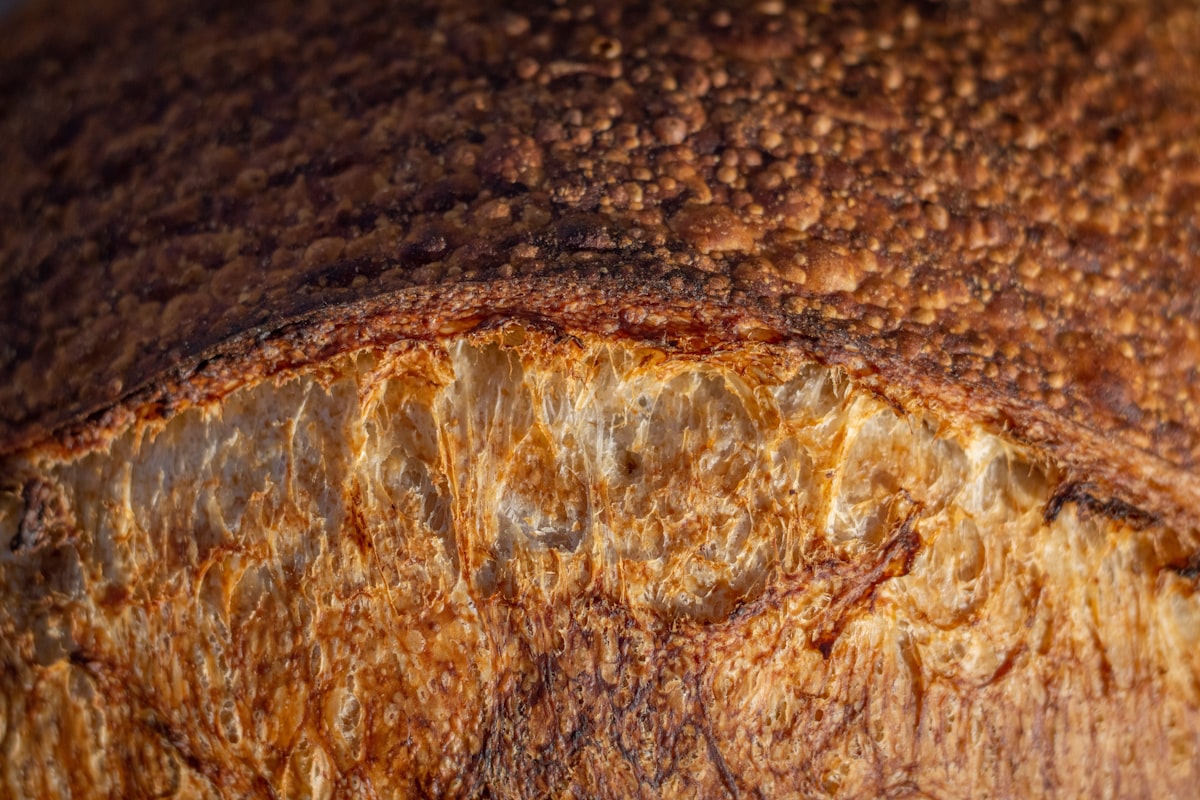 Transformations digestives avec les fibres